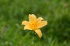 20060819_hakubatrip_009